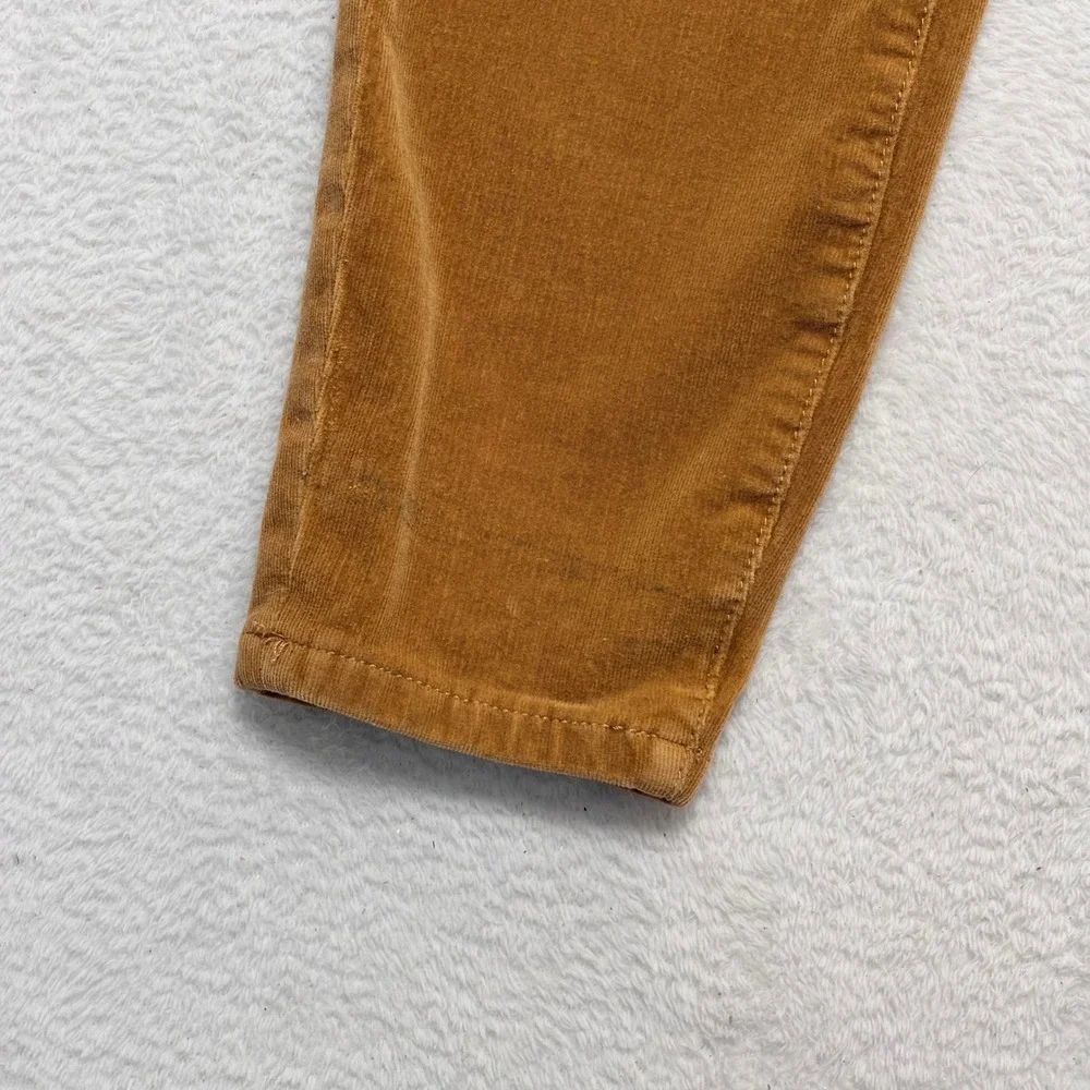 Anthropologie Pilcro High Rise Skinny Corduroy Pants Brown Button Fly Size 29
